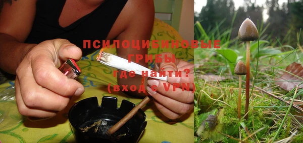 эйфоретик Аркадак