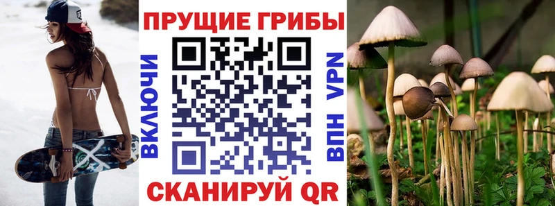 Псилоцибиновые грибы прущие грибы  Купить где  Себеж 